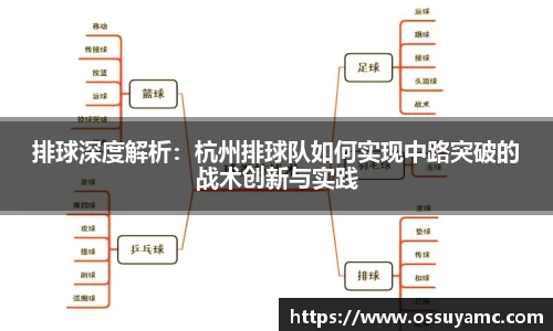 V体育