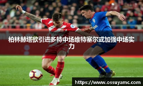VSport-胜利因您更精彩