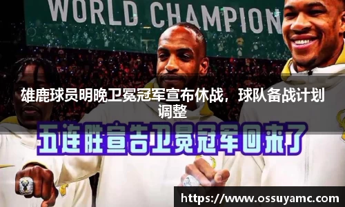 VSport-胜利因您更精彩