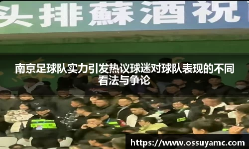 南京足球队实力引发热议球迷对球队表现的不同看法与争论