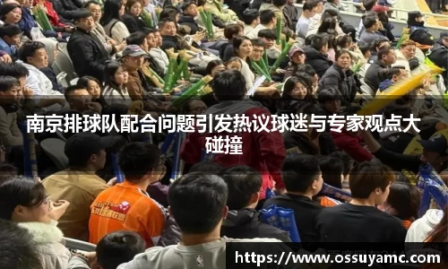 南京排球队配合问题引发热议球迷与专家观点大碰撞