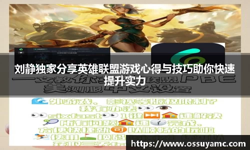 V体育