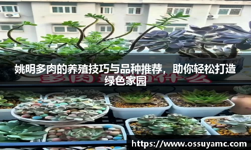 姚明多肉的养殖技巧与品种推荐，助你轻松打造绿色家园