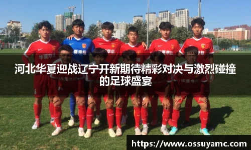 河北华夏迎战辽宁开新期待精彩对决与激烈碰撞的足球盛宴