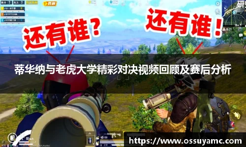 VSport-胜利因您更精彩