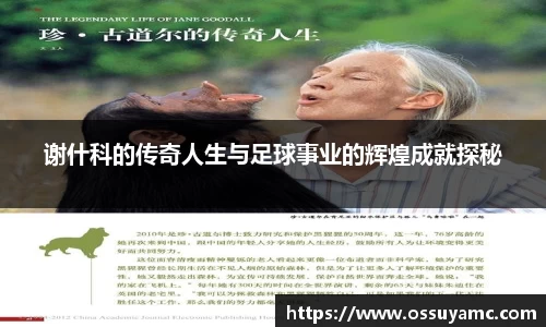 谢什科的传奇人生与足球事业的辉煌成就探秘