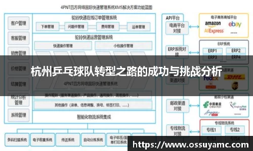 杭州乒乓球队转型之路的成功与挑战分析
