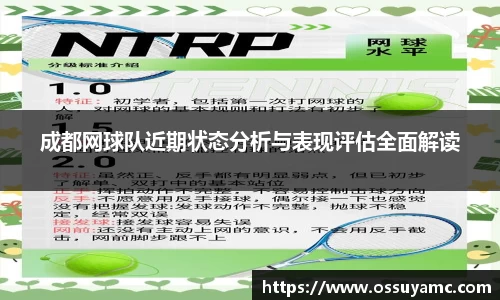 成都网球队近期状态分析与表现评估全面解读